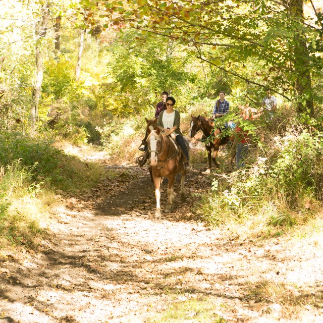 Horseback Riding Through Nature Trails